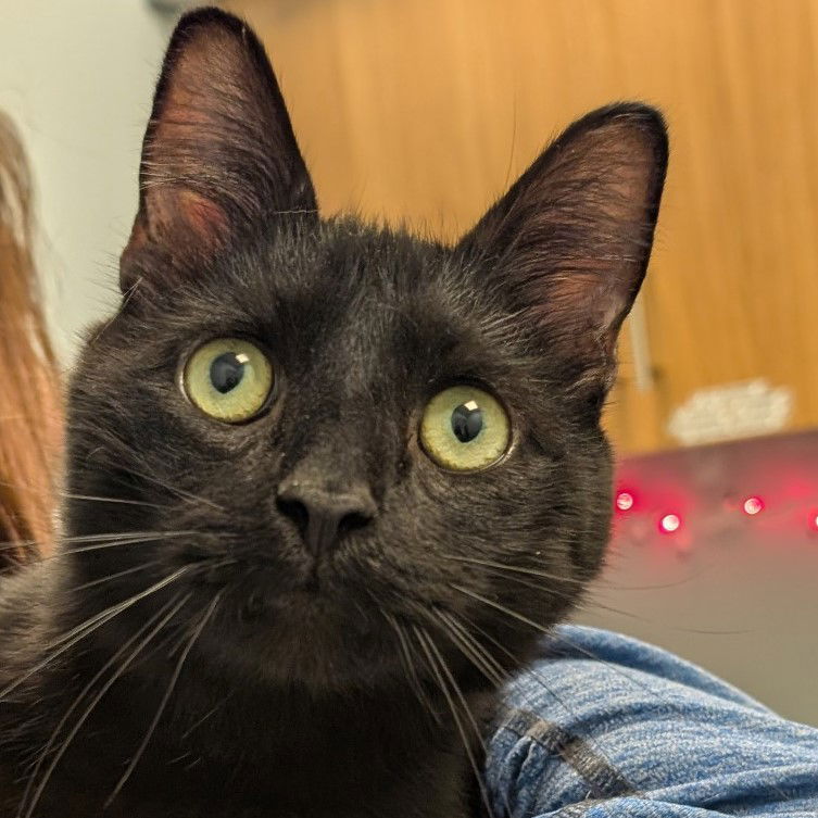 Binx