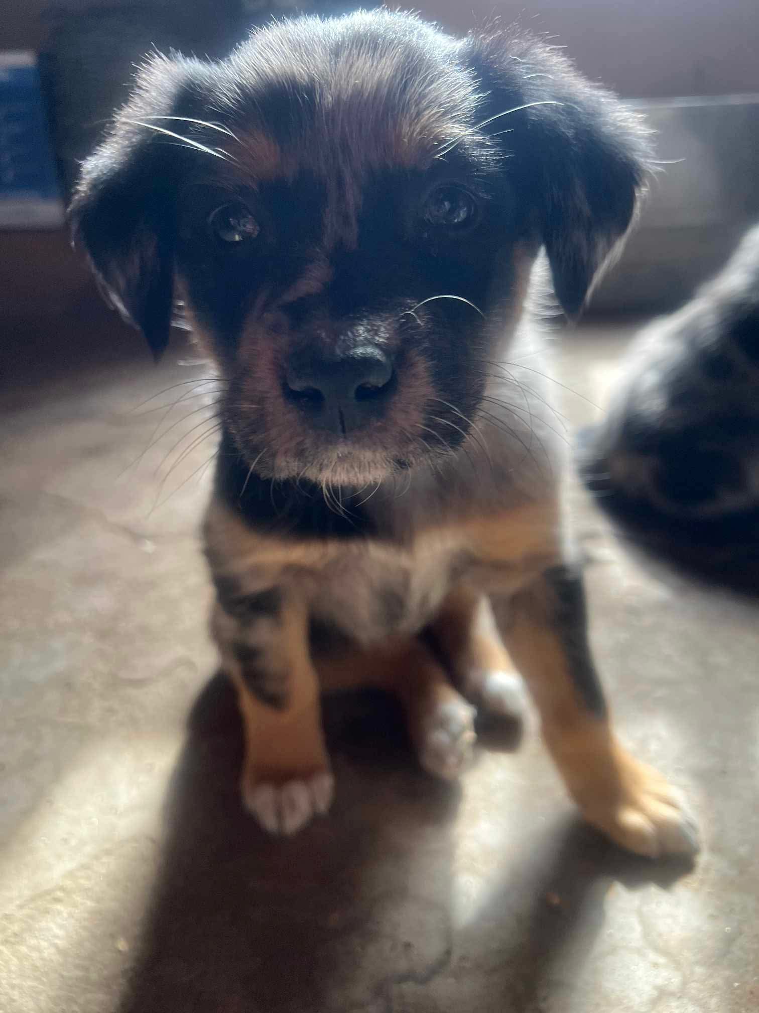 Luna