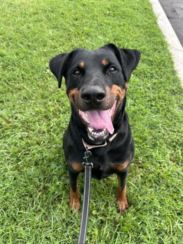 Ellie
