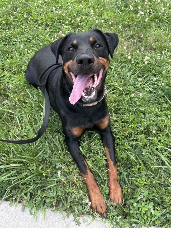 Ellie