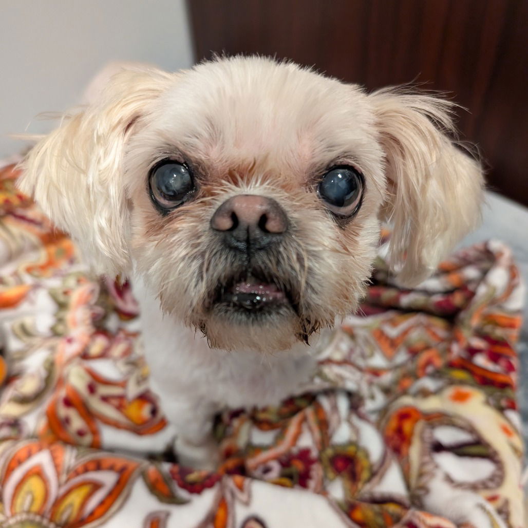 Rosie