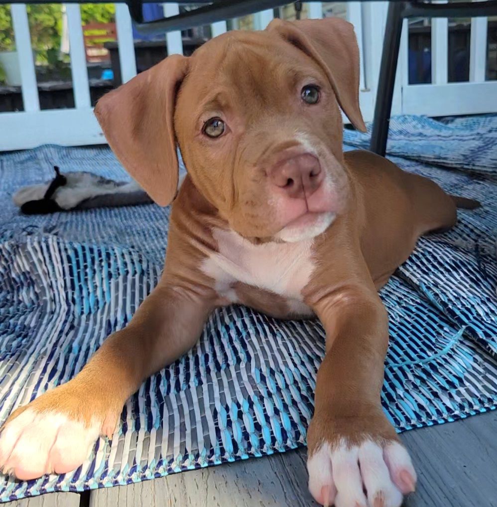Kasie