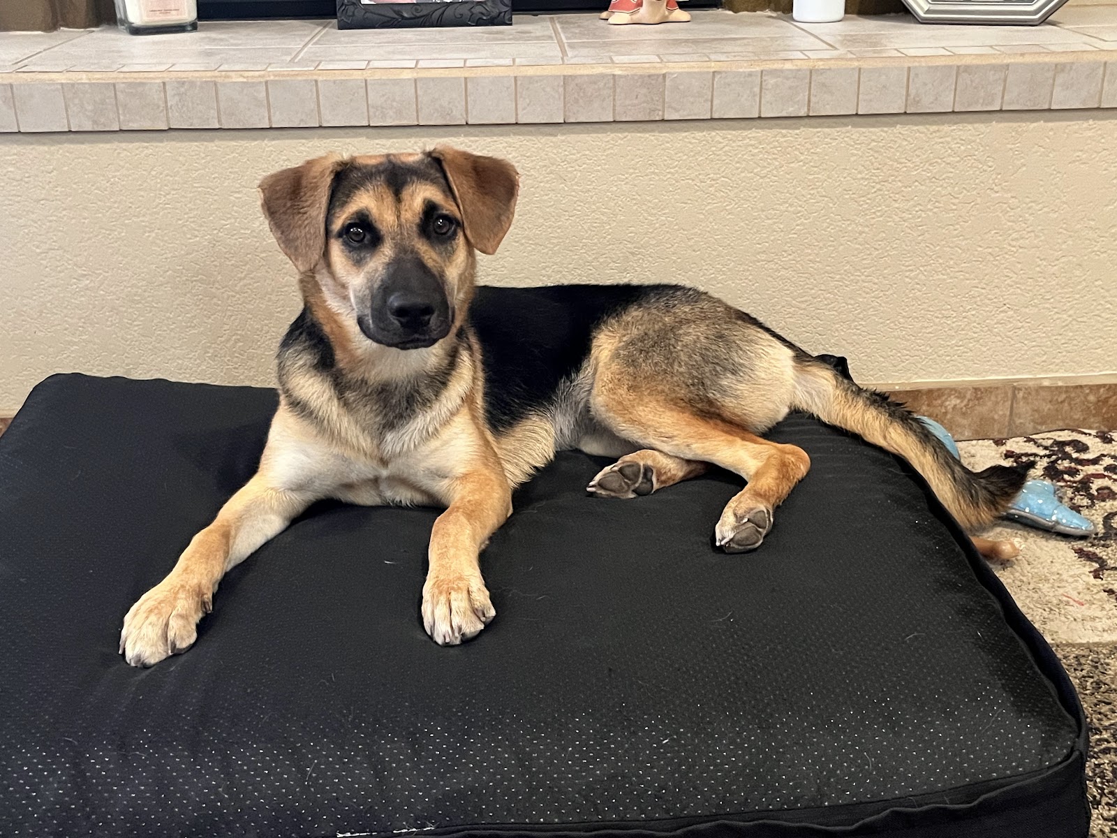 Maki