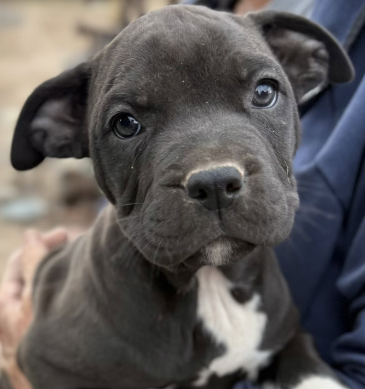 Cape