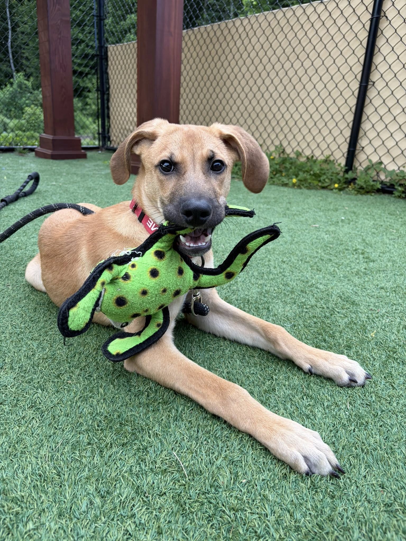 Finley