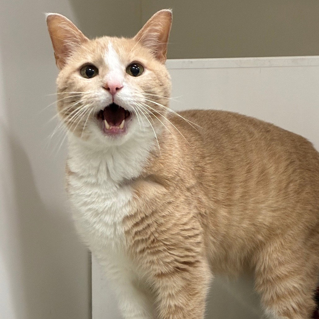 Charlie