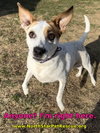 Boochie TX - Photo 6