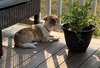 Carolyn's Gherkin TX - Photo 6