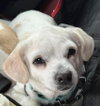 Carolyn's Dixi TX - Photo 4