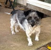 Timothy TX - Photo 4
