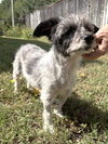 Timothy TX - Photo 13