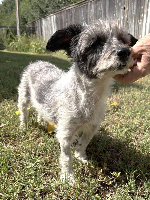 Timothy TX, photo 13