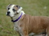 Nac's Maya TX - Photo 5