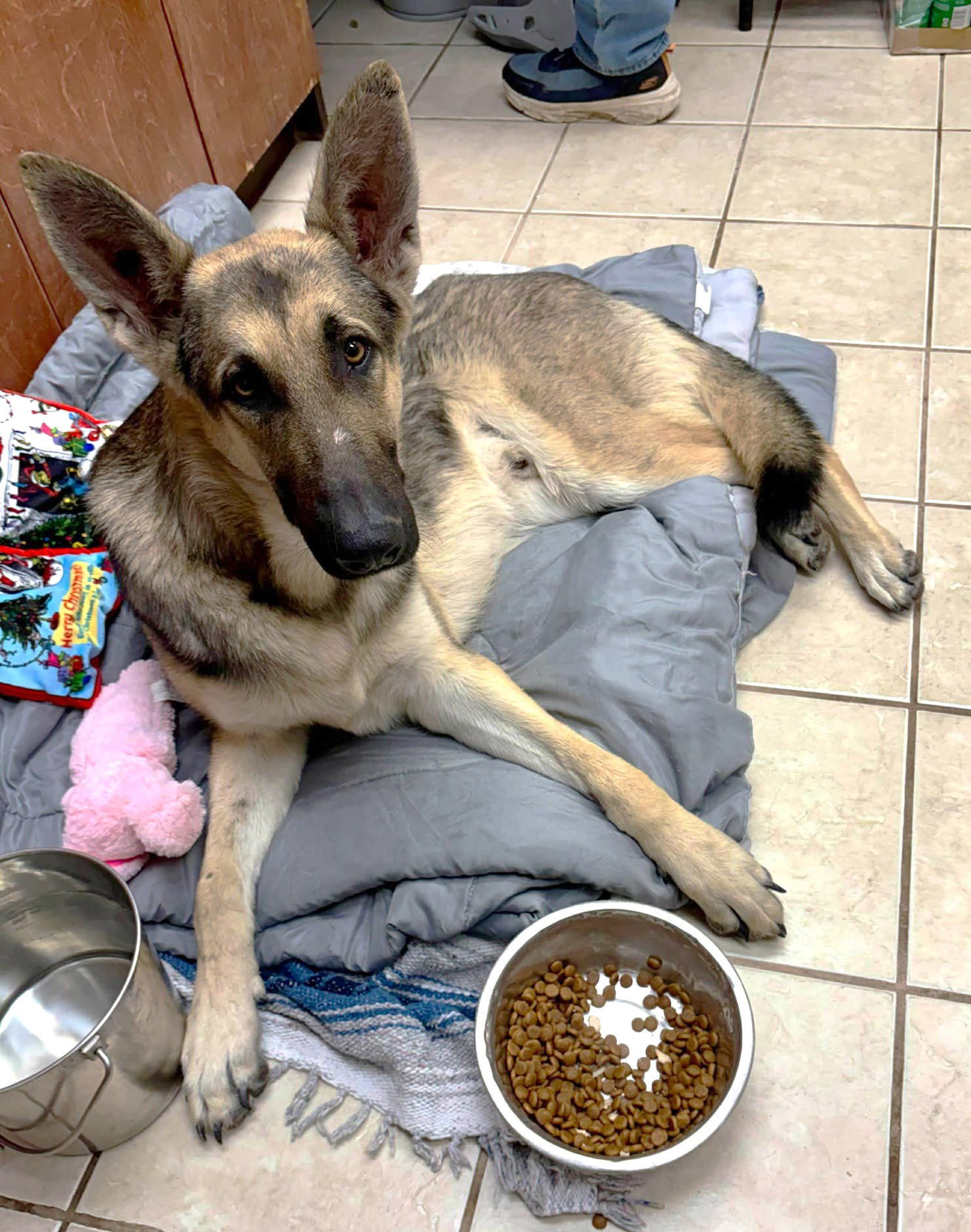 Ruger GSD TX
