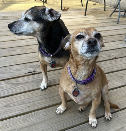 Lily Nason NJ, photo 9