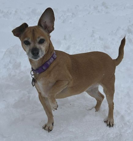 Lily Nason NJ, photo 11