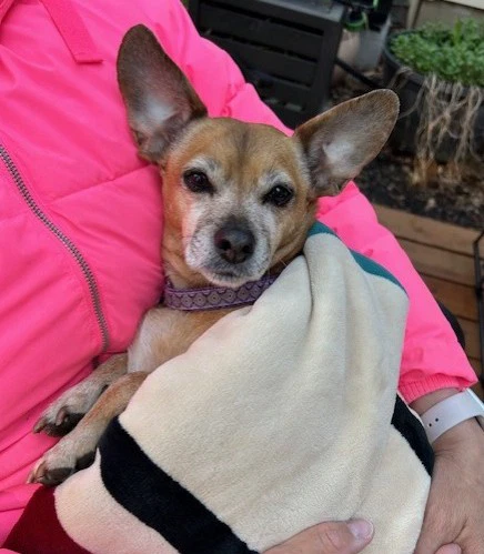 Lily Nason Nj
