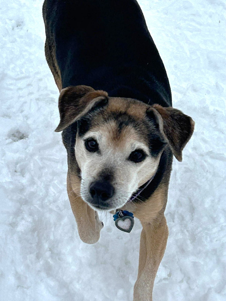 Lucy Nason NJ