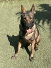 Vasco 3150