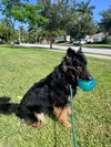 Ivy 3160 - Photo 4