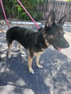 Bella 3165 - Photo 2