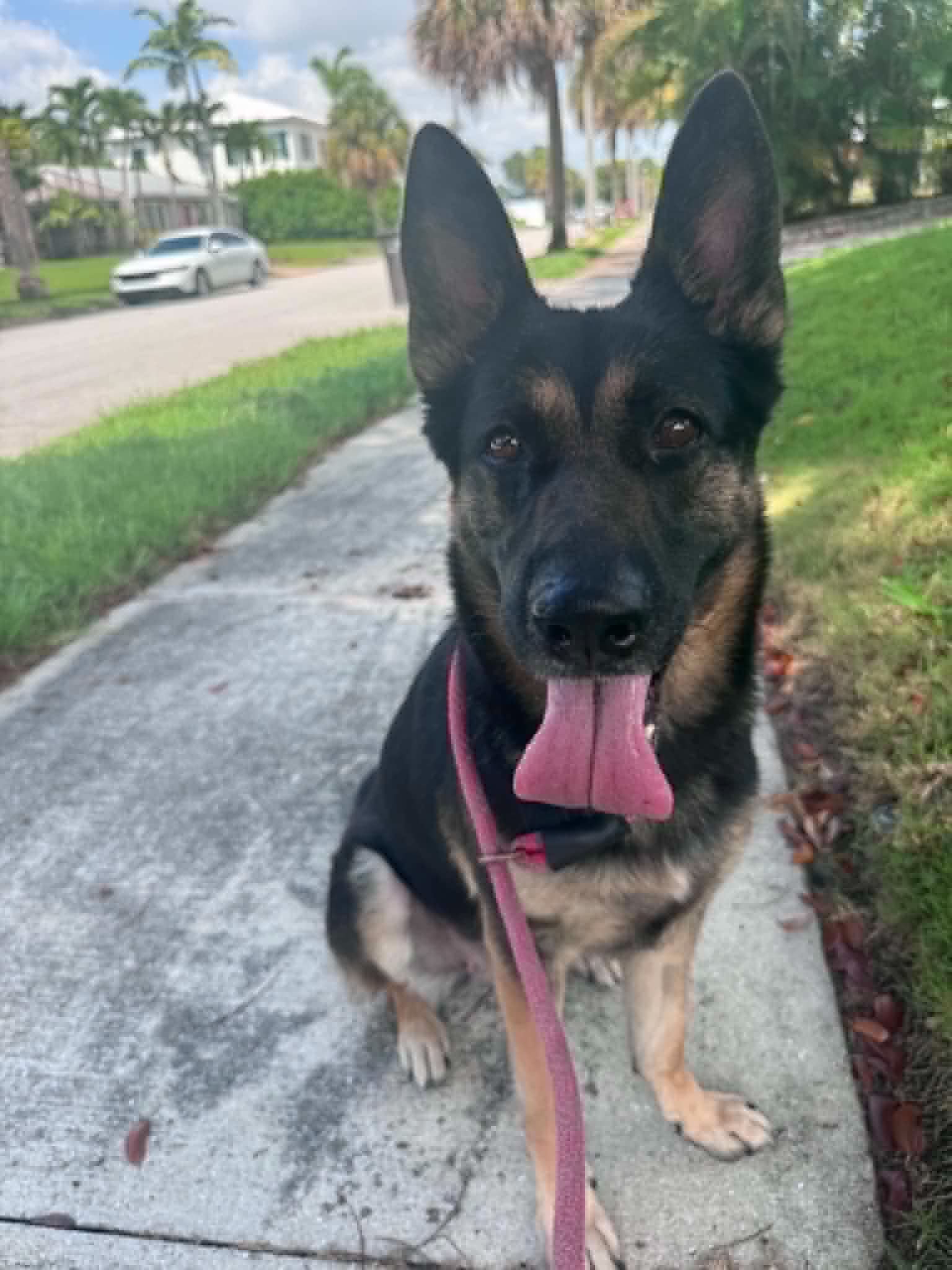 Bella image 2