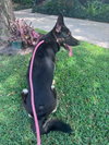 Bella 3165 - Photo 5