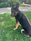 Bella 3165 - Photo 6