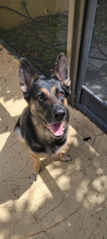 Bella 3165, photo 2