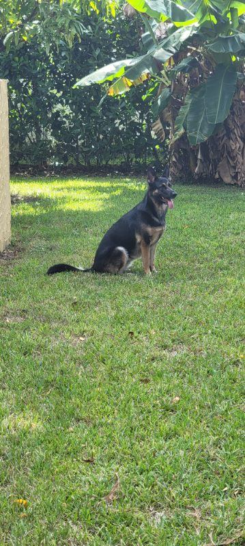Bella 3165, photo 3