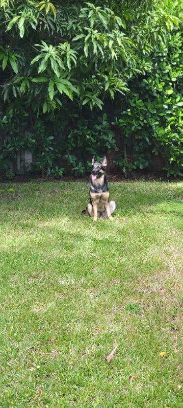 Bella 3165, photo 4