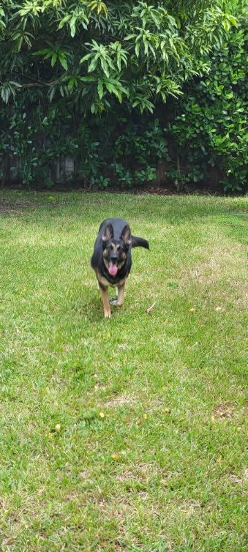 Bella 3165, photo 8