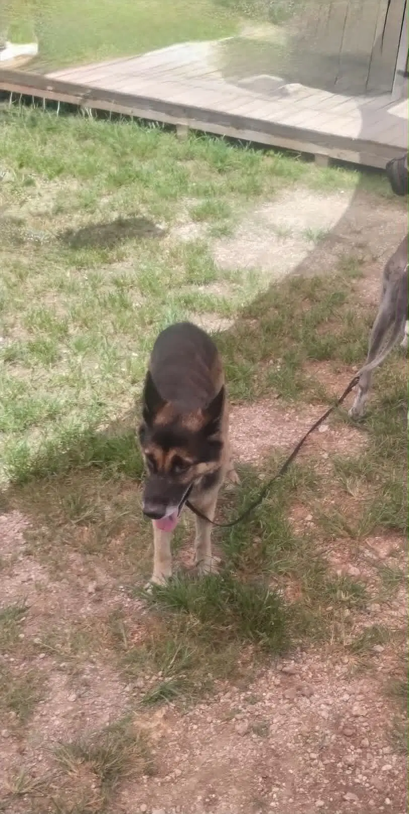 Bandido image 2
