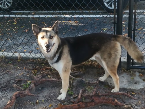 Photo 4 of Lyssa 3178