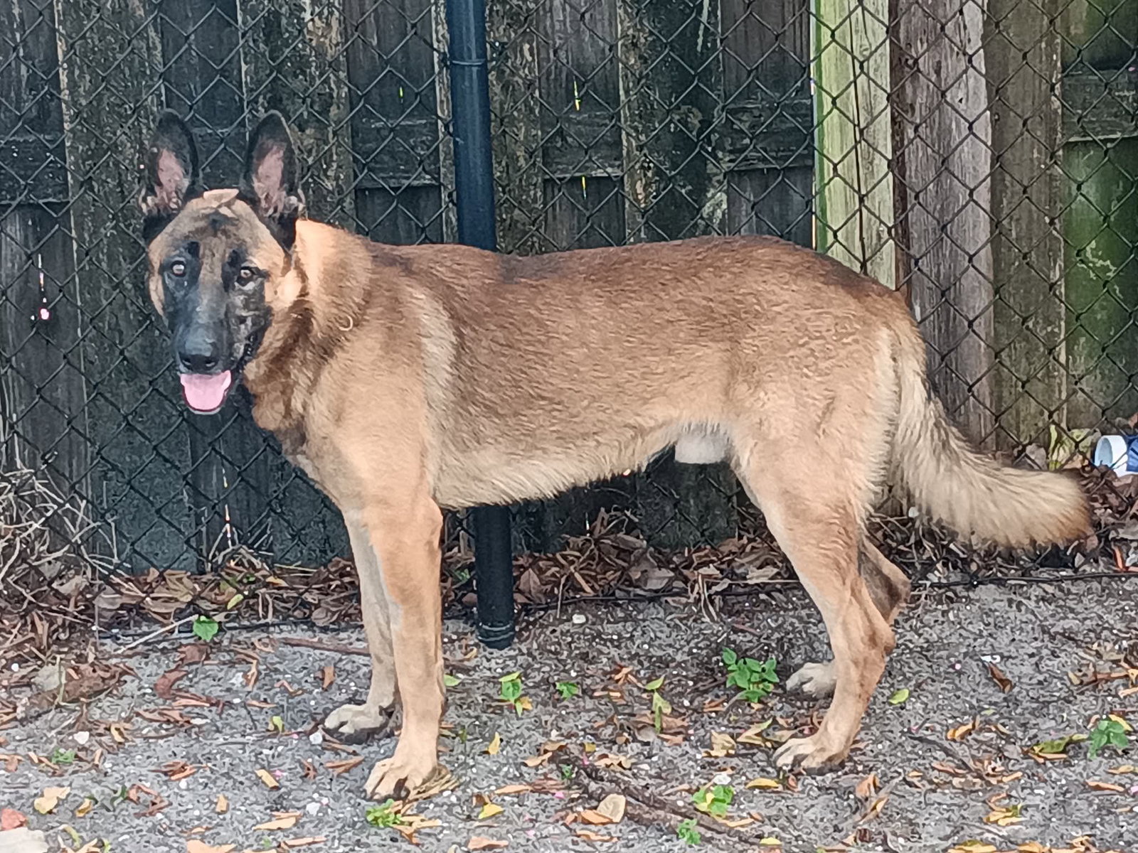 Hunter 3179, photo 5