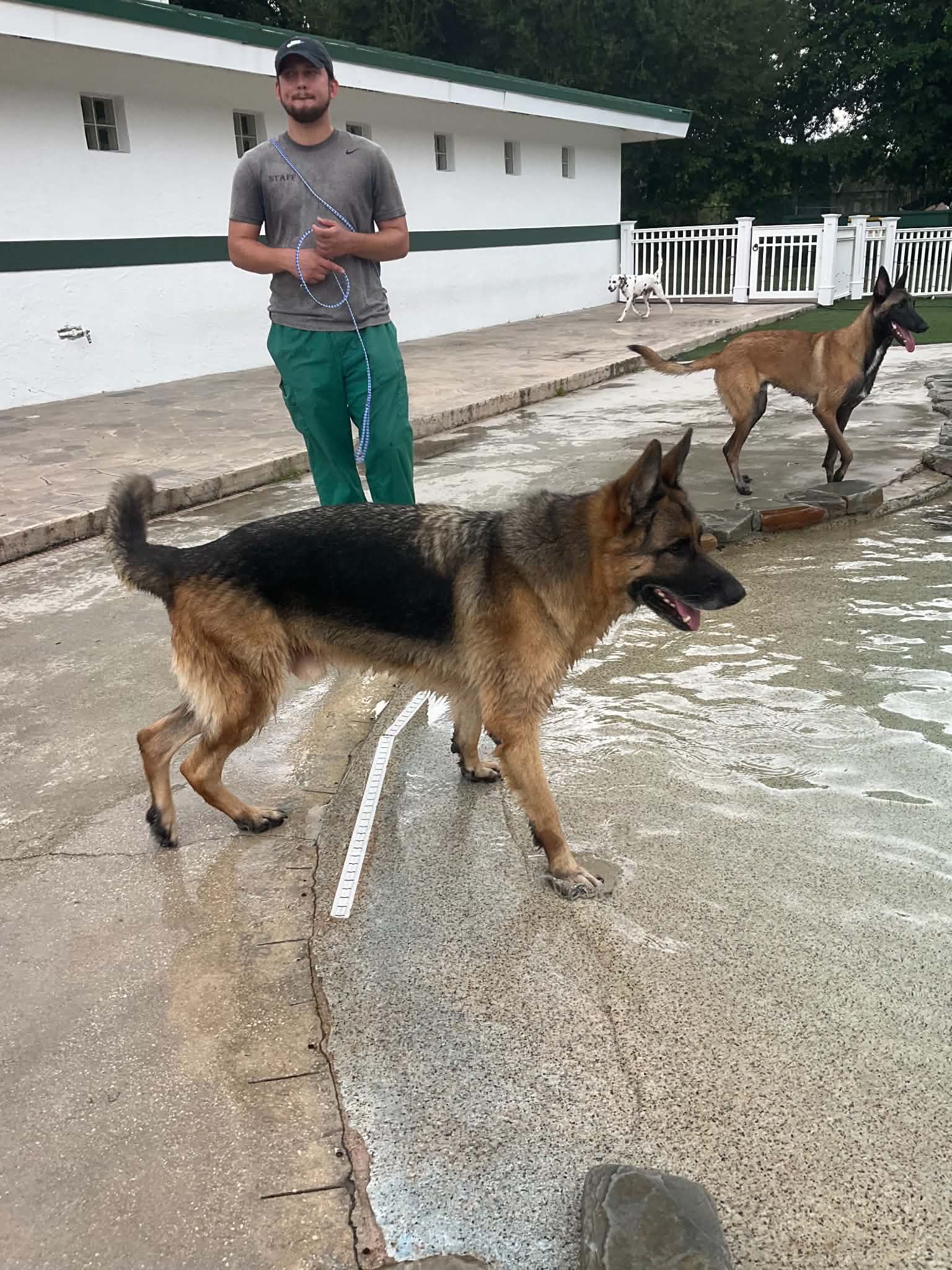 Koda image 3