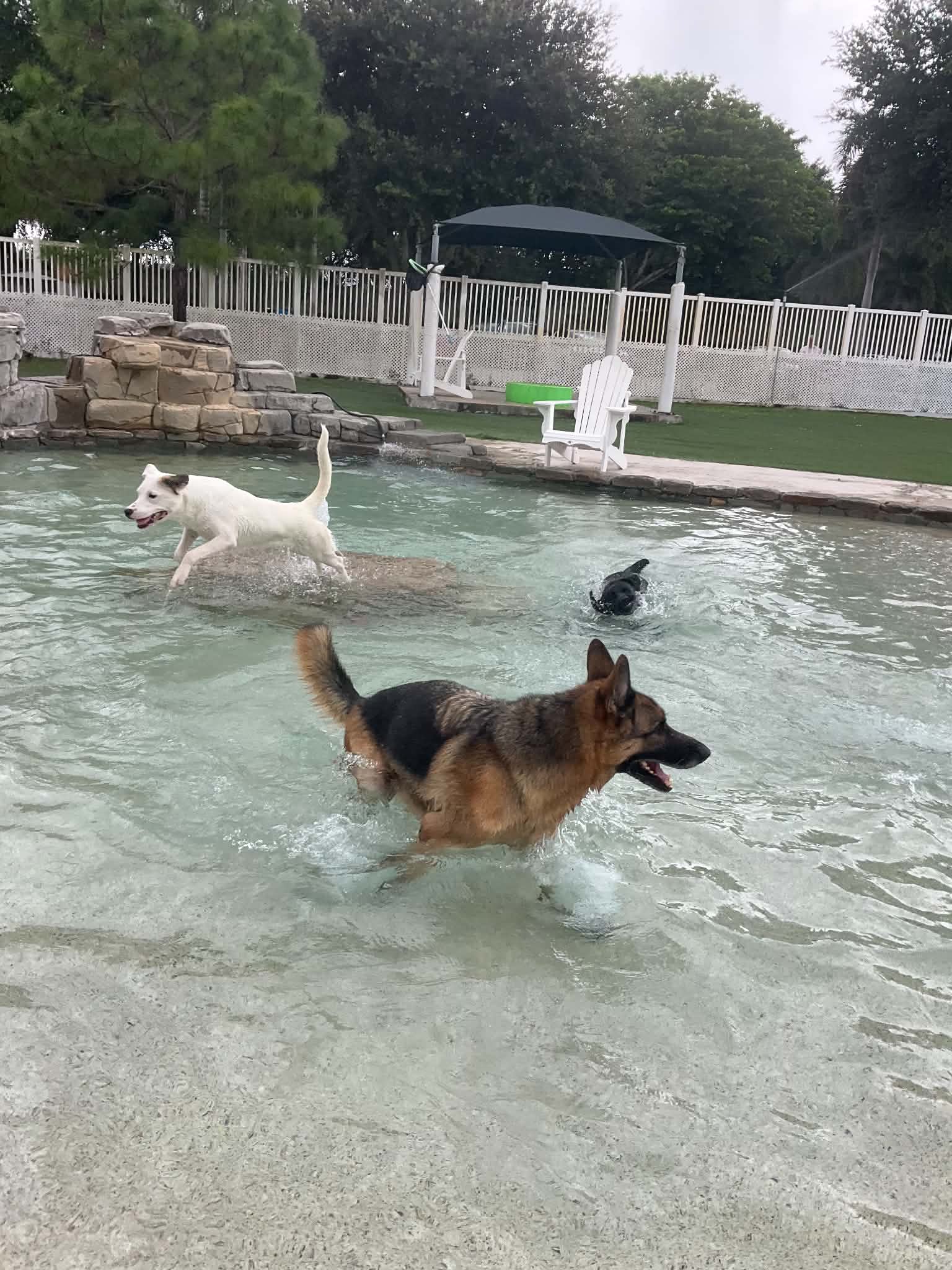 Koda image 4