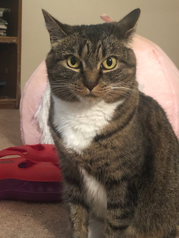 Luna