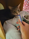 Bandit - Photo 4