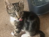 Brenda - Photo 3