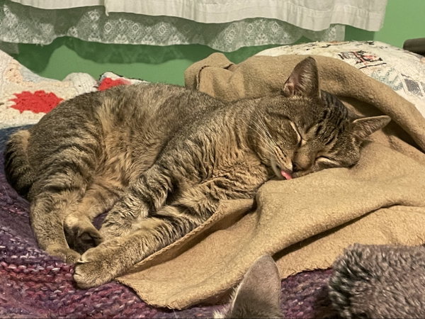 Jeffrey