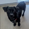 Darla - Photo 2