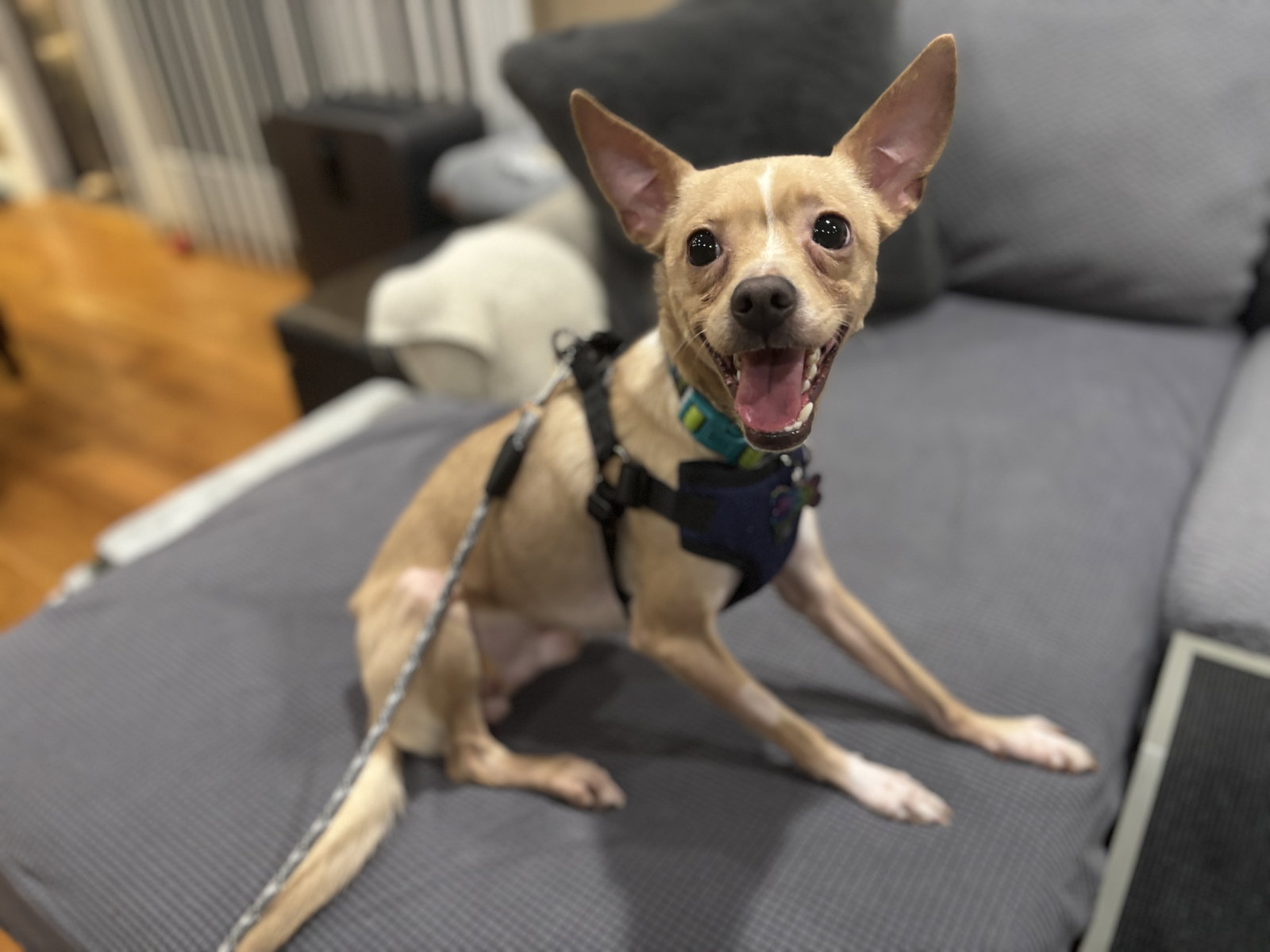 Atti