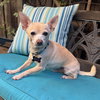 Cisco - Photo 1