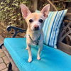 Cisco - Photo 2