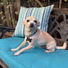 Cisco - Photo 3