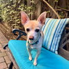 Cisco - Photo 4