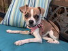 Finley - Photo 2