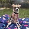 Finley - Photo 1