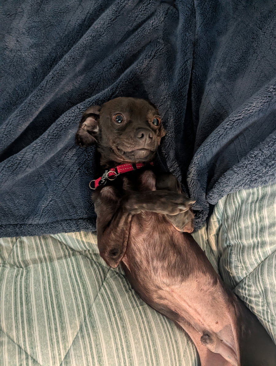 Roscoe